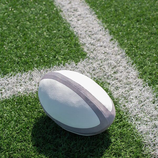 Zippie rugby ball Thumbnail