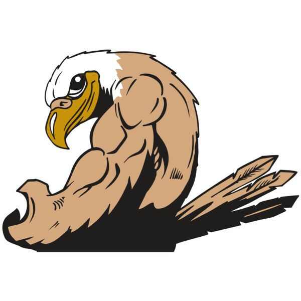 AR EAGLE 85 RC Thumbnail