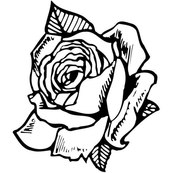 FLOWER03 Thumbnail