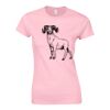 Softstyle™ women's ringspun t-shirt Thumbnail
